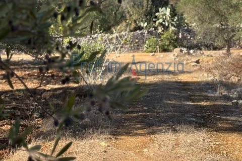 Helårsgrund i Carovigno, Brindisi, Carovigno - € 29.000 | Ref: 122781 - foto 1